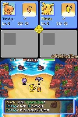 Snapshot